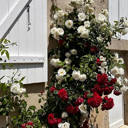 Le Refuge D'alienor At Domaine Le Touran Near Saint Emilion * Pellegrue