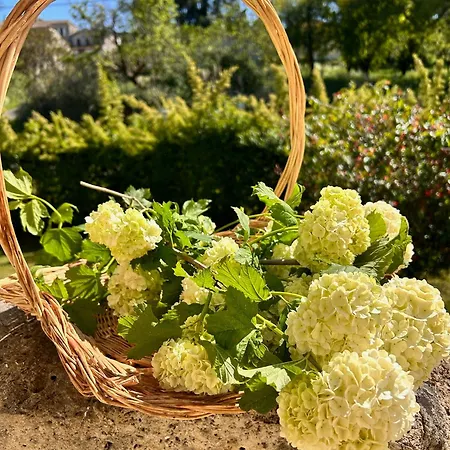 וילה Le Refuge D'alienor At Domaine Le Touran Near Saint Emilion *