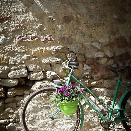 Le Refuge D'alienor At Domaine Le Touran Near Saint Emilion